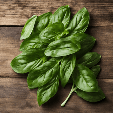 French Basil Seeds Al-Fajr (Ocimum basilicum)