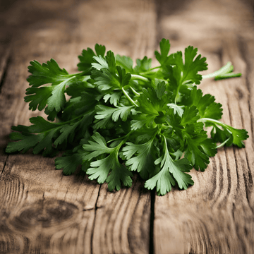 Parsley Seeds Al Fajr (Petroselinum crispum)