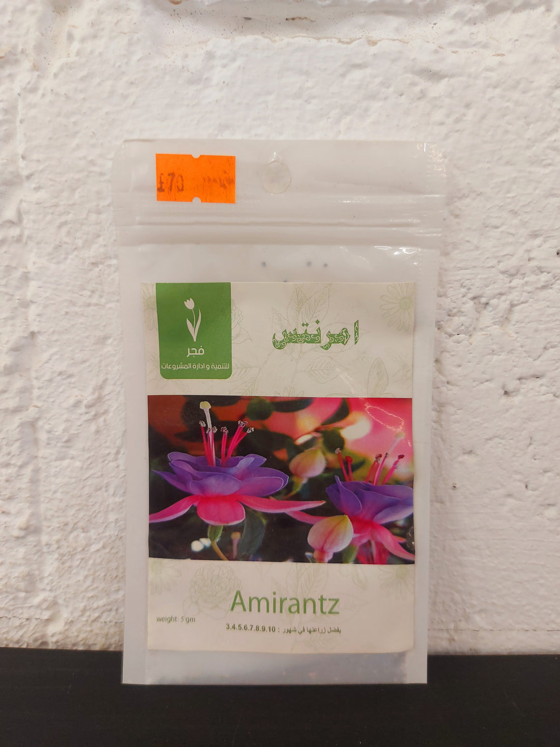 Amirantz Flower Seeds Al-Fajr (Amirantz spp.)