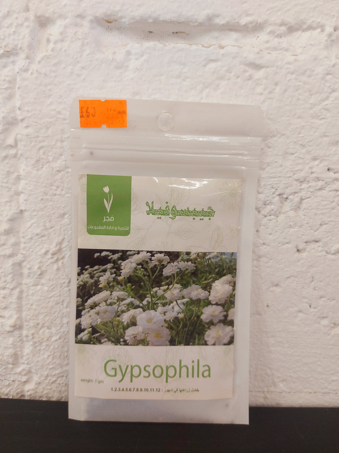 Baby’s Breath Flower Seeds Al-Fajr (Gypsophila paniculata)