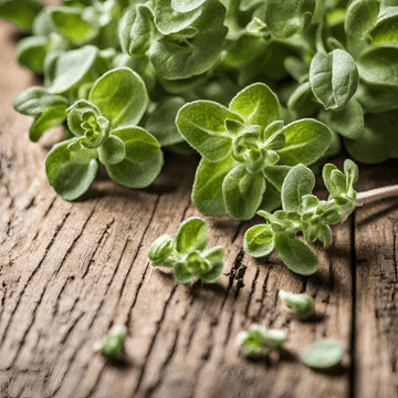 Marjoram Seeds Al-Fajr (Origanum majorana)