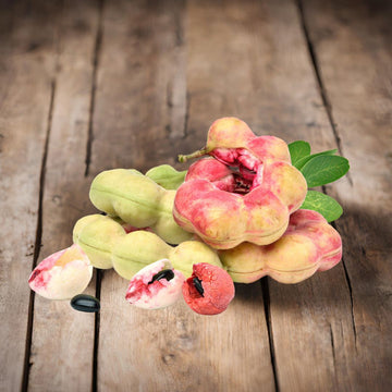 Indian Almond Tree (Terminalia catappa)