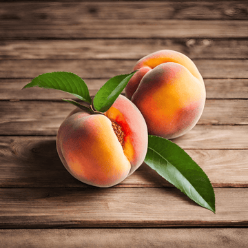 Peach Tree (Prunus persica)