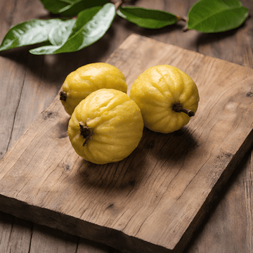 Guava Tree (Psidium guajava)