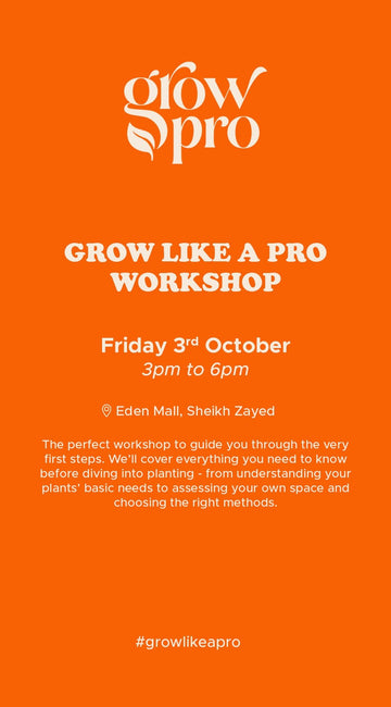 Grow Like A Pro - Beginner Gardening Workshop