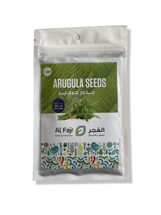 Arugula Seeds Al-Fajr (Eruca sativa)