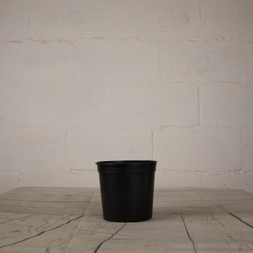 Local Black Round Plastic Pot