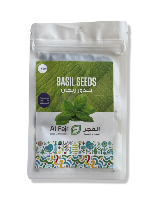 Basil Seeds Al-Fajr (Ocimum basilicum)