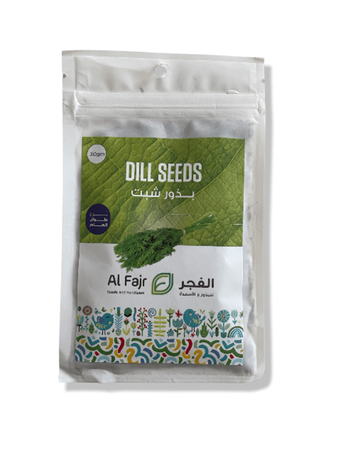 Dill Seeds Al-Fajr (Anethum graveolens)