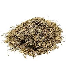 Rosemary Seeds Al-Fajr (Salvia rosmarinus)