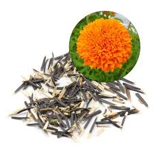 Marigold seeds