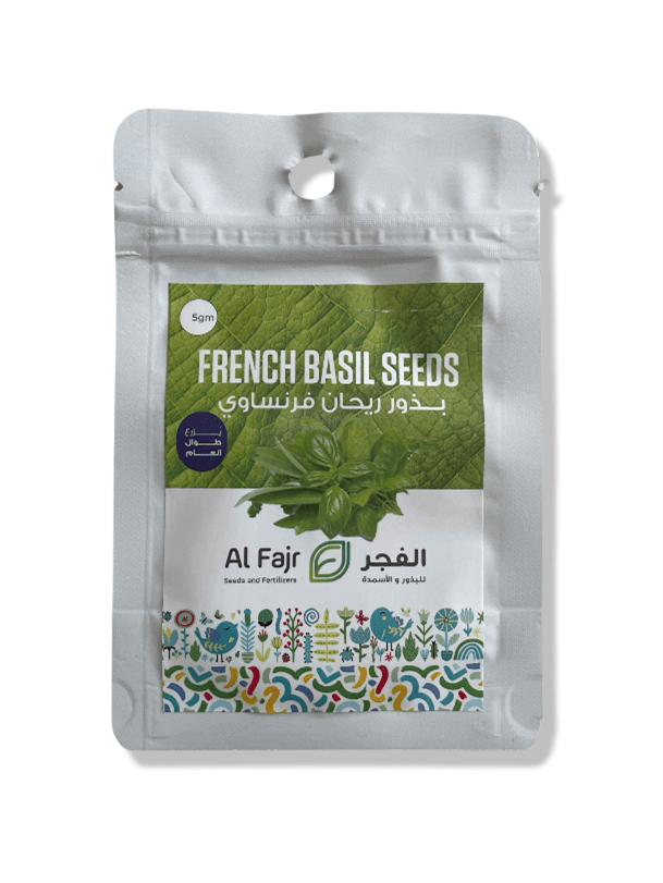 French Basil Seeds Al-Fajr (Ocimum basilicum)