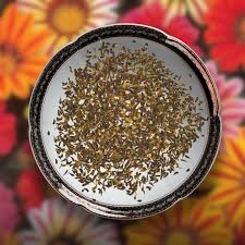 Gazania Flower seeds