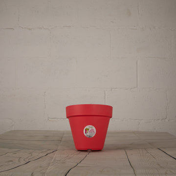 Mintra Plastic Wall Pot