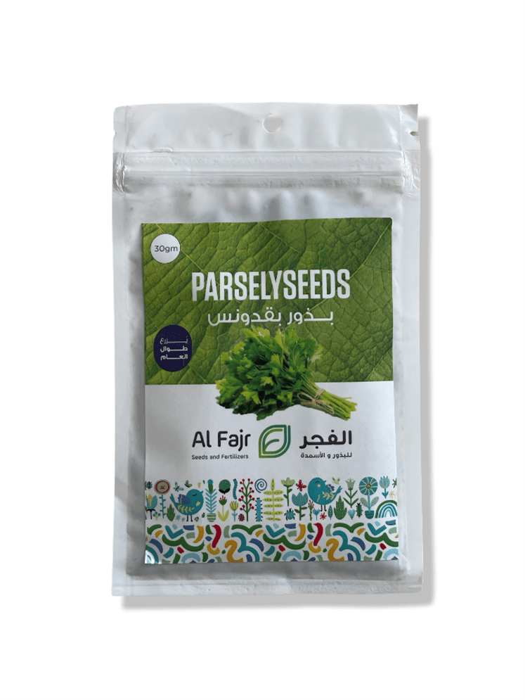 Parsley Seeds Al Fajr (Petroselinum crispum)