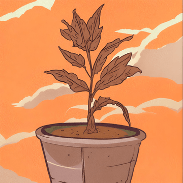 How to Prevent Plants from Getting Killed: A Guide to Thriving Gardens