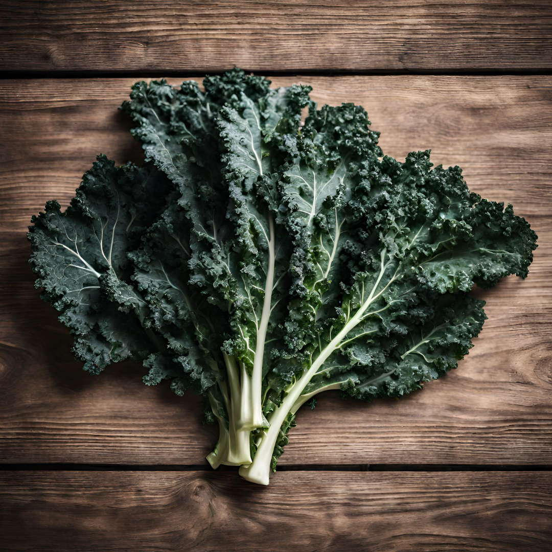 Tuscan Kale Seedling