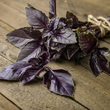 Red Rubin Basil Seeds