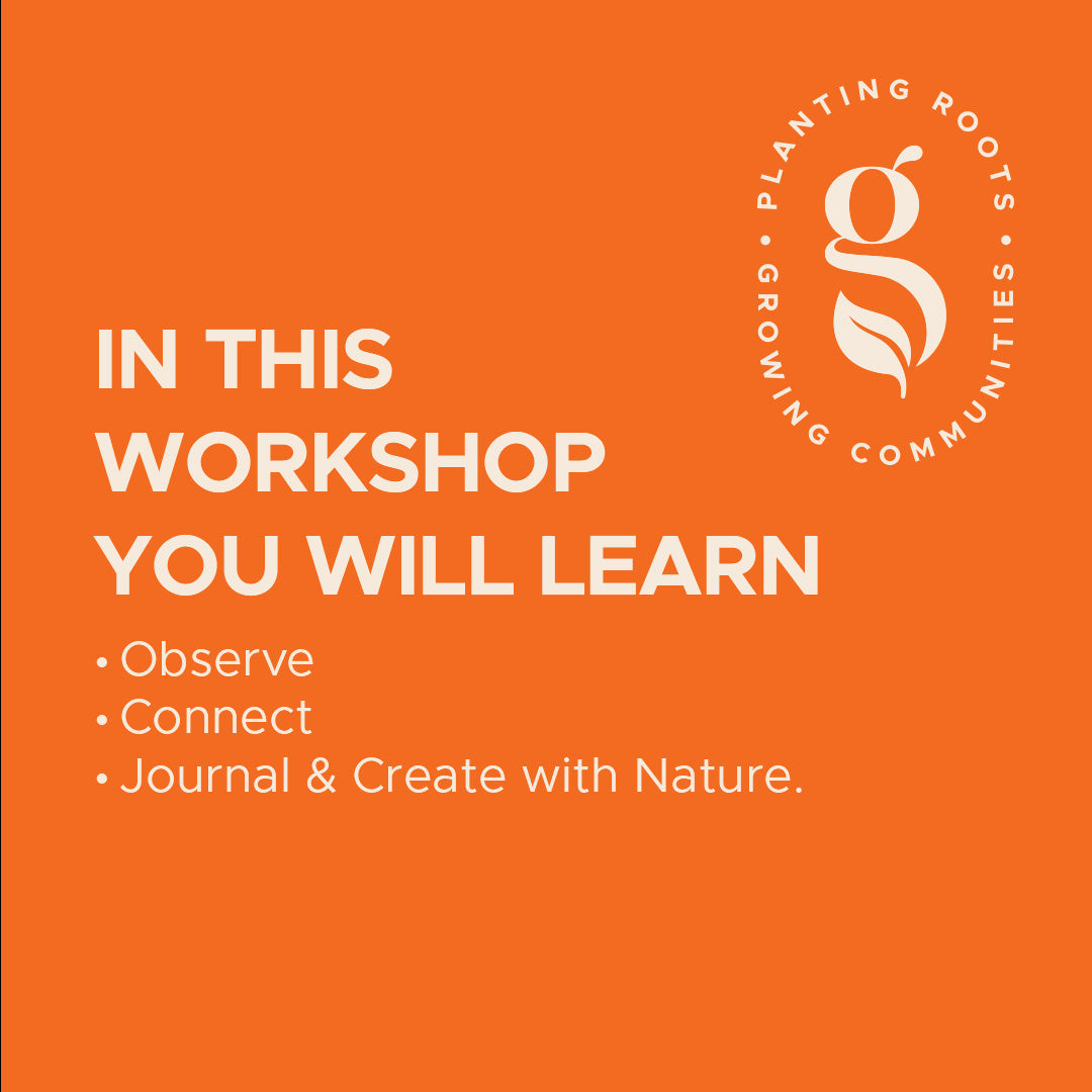 Nature Journaling Workshop