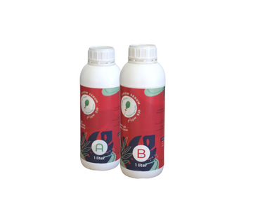 Hydroponic Nutrient Solution Greens