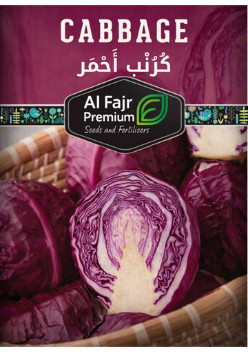 Red Cabbage Premium Seeds( Al-Fajr)
