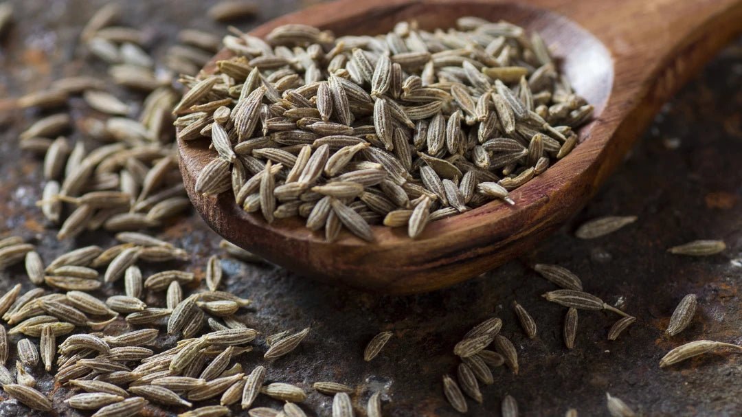 GrowPro Fennel seeds