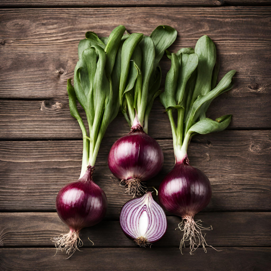 Red Onion Seeds