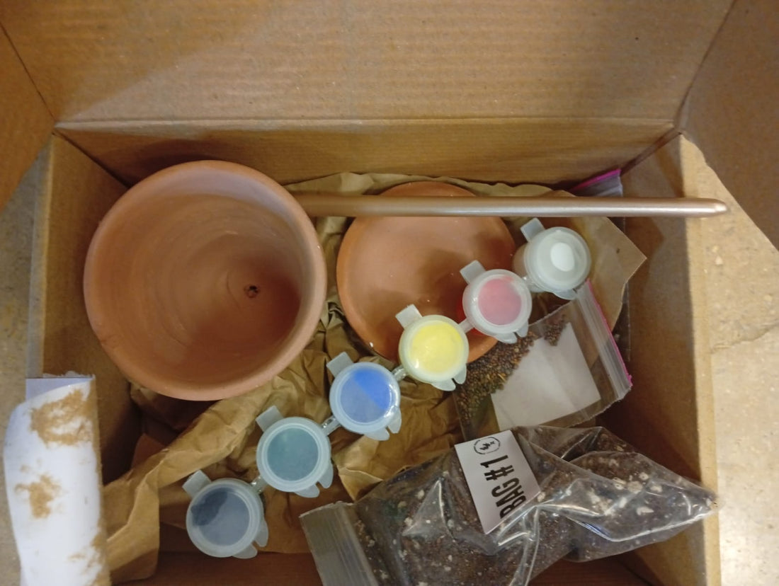 Paint & Planting Kit