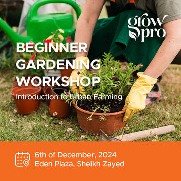 Beginner Gardening Workshop