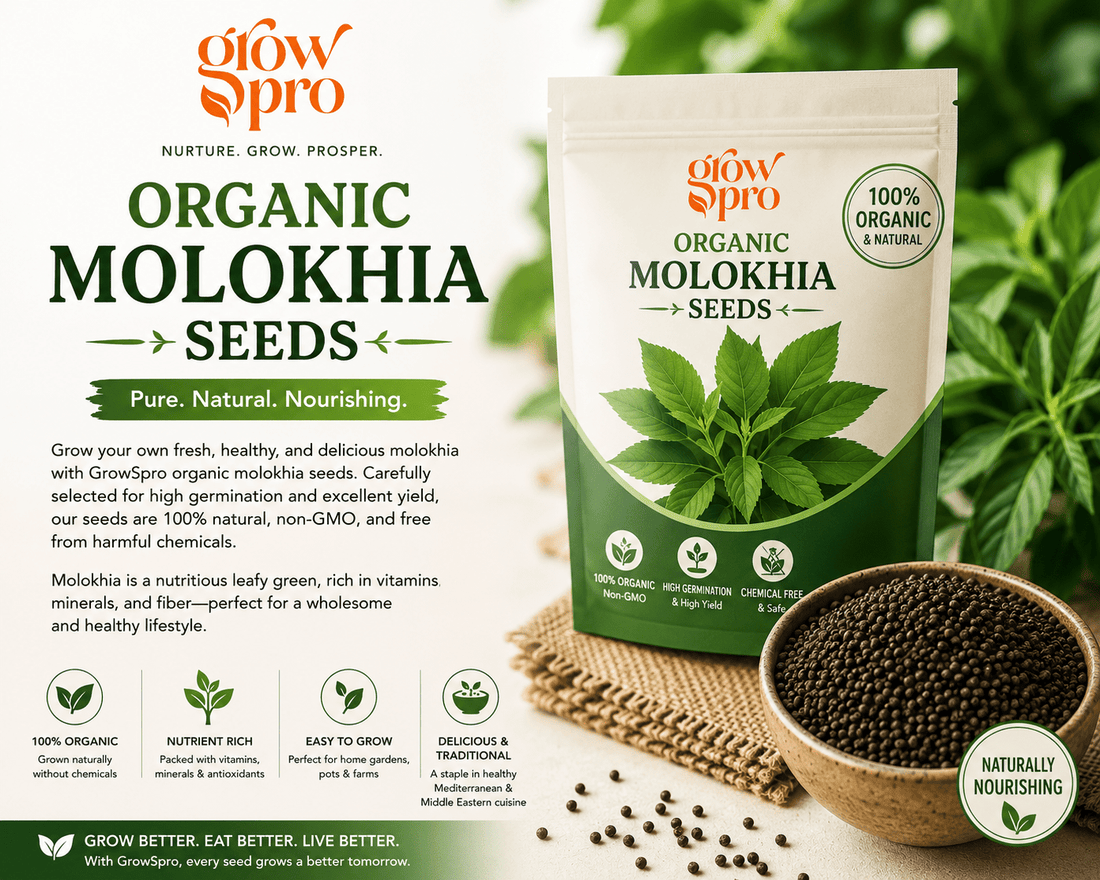 molokhia seeds GrowPro