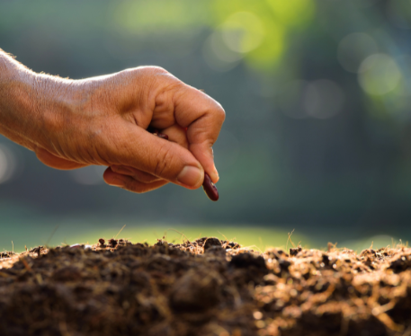 Beginner Gardening Workshop