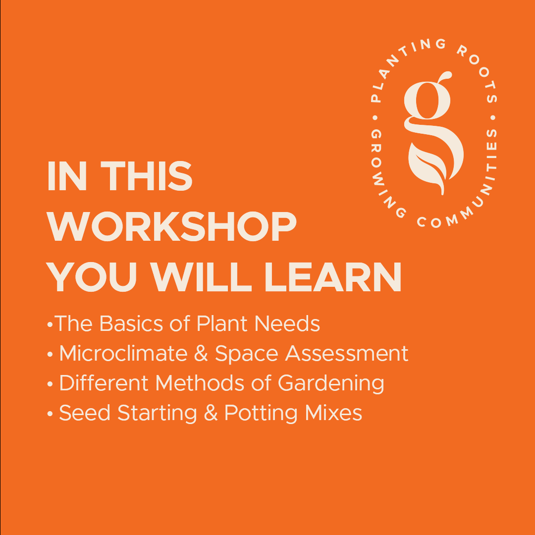 Beginner Gardening Workshop