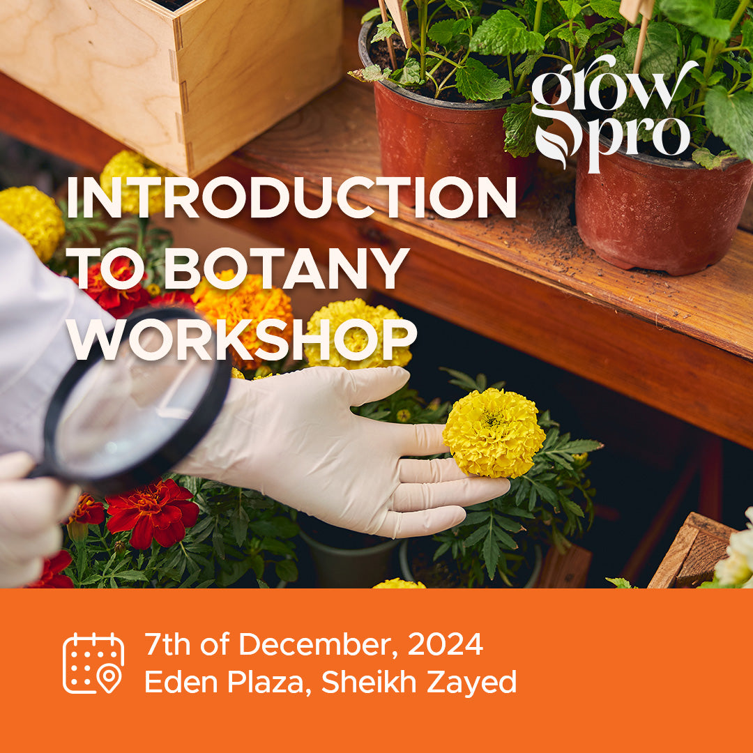 Intro. to Botany Workshop