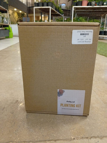 Paint & Planting Kit
