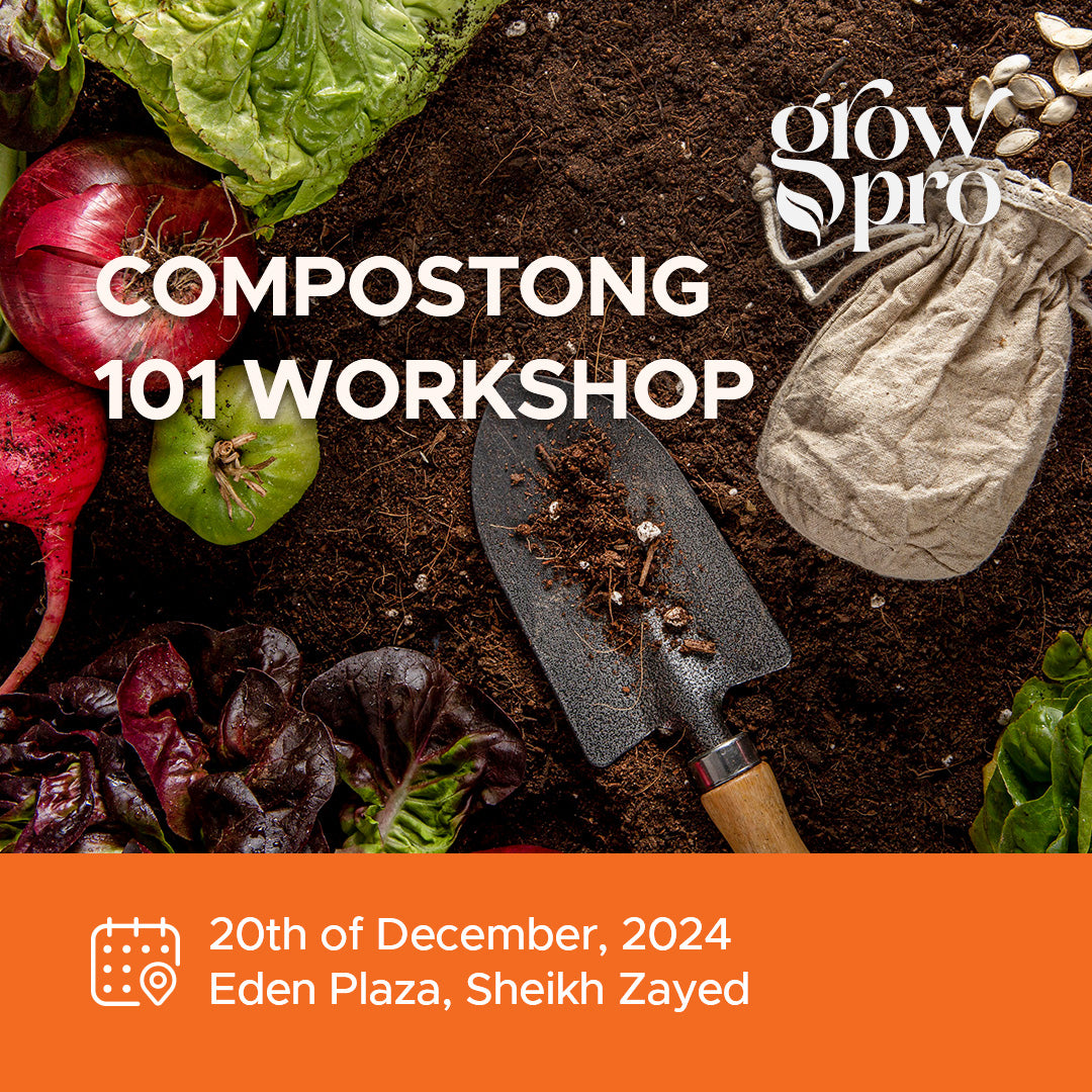 Composting 101 Workshop