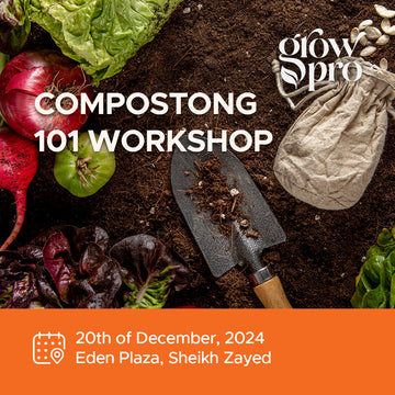 Composting 101 Workshop