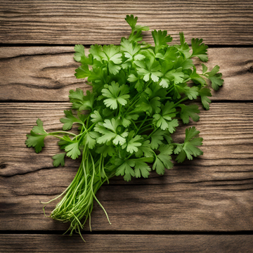 Coriander Seeds