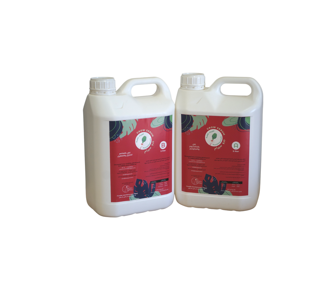 Hydroponic Nutrient Solution Greens