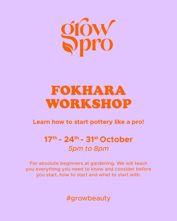 Pottery Workshop By Fokhara
