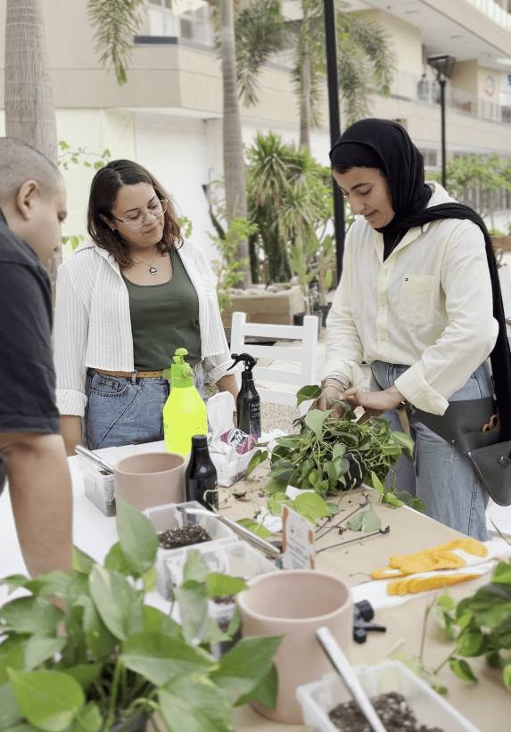 Beginner’s Guide to Houseplants