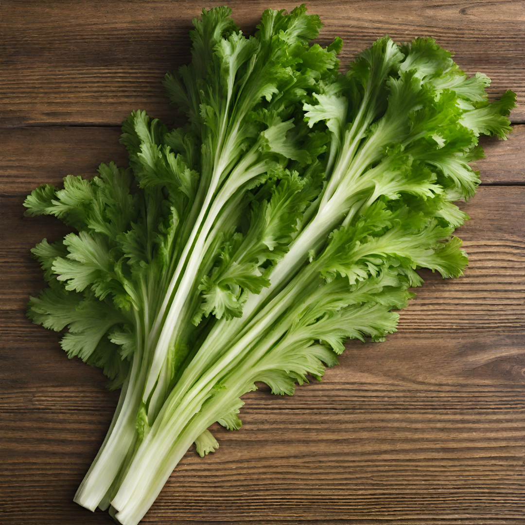 Celery Seedling - Growpro Egypt