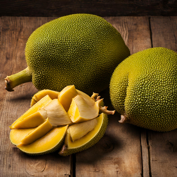 Jackfruit Tree