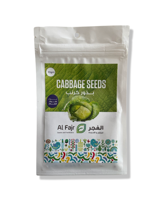 Cabbage Seeds