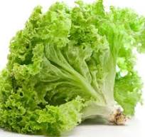 Lollo Bionda Lettuce