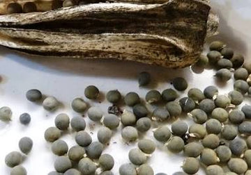 GrowPro Okra seeds