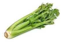 Demeter French celery seeds