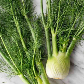GrowPro Fennel seeds