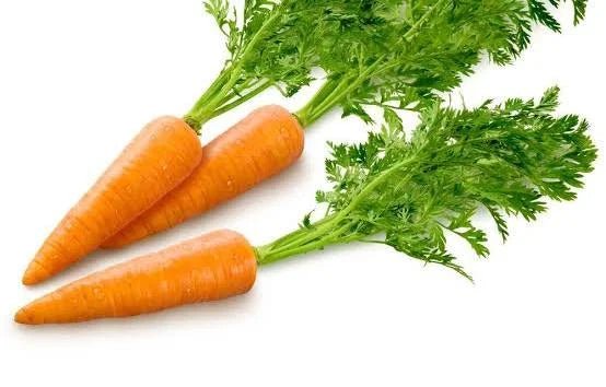 Grow pro Carrots Seeds