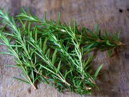 Rosemary Seeds Al-Fajr (Salvia rosmarinus)