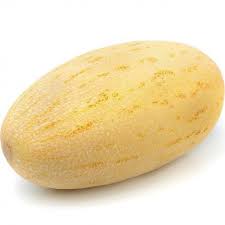 Melon Seedling